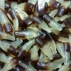 Kiwi-D Gummy Cola Bottles All Lollies