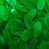 Mayceys Giant Spearmint Leave Lollies All Lollies