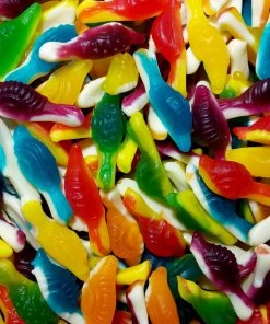 Mayceys Slimey Snails