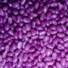Nowco Purple Jelly Beans All Lollies