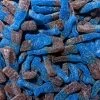 Dragon All Lollies Sour Blue Raspberry Cola Bottles