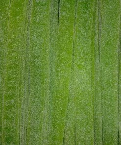 Damel Sour Green Apple Belts All Lollies