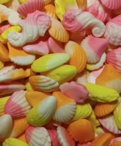 Ravazzi Tropical Sea Shells All Lollies